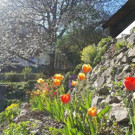 Holiday park Lerchenhof Friesach (Carinthia)